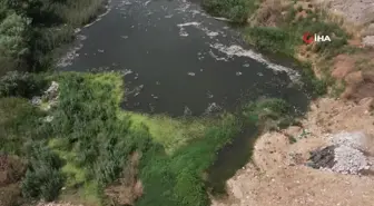 Uluslar Arası Fuhuş Şebekesine Darbe