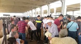 Tokat'ta 'Türk Milliyetçiliği ve Alevilik' Konulu Konferans