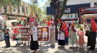 Sörf Yaparken Fok Saldırdı