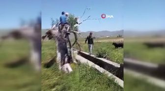 Kuru Otları Tutuştururken, 3 Hektarlık Bitki Örtüsünün Yanmasına Sebep Oldu
