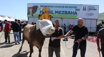 Erzurum'da Mobil Mezbahalarda Yoğunluk