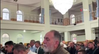 Sert Hayvan Zarar Vermez