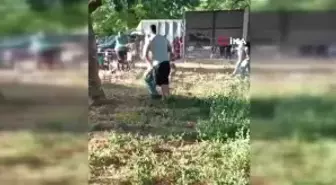 CHP'li Topuz'dan Arınç'a Ağır Tepki: 'AKP'nin Radikal Dinci Kanadının Militanı, Allah'ın Vekili Misin?'