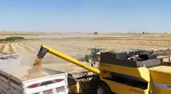 Eğitim Sendikalarından Yönetici Atama Yönetmeliğine Tepki: 'AKP İl Örgütleri Atama Merkezine Dönüşecek'