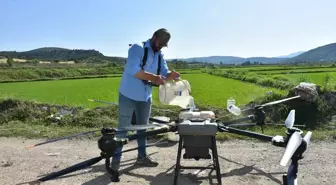 Çayırlı'da Ağaçlandırma Çalışmaları