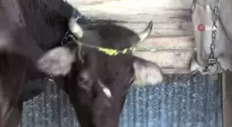 'Liseliler Ahlaksız' Krizi