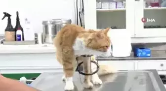 Oğlu Kaçırılan Anneye Başbakan'dan Telefon