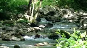 Gebze Belediyesi, Kent Meydanı Pojesiyle Atağa Geçiyor