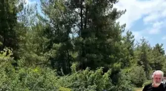 Fatih Belediyesi E-imza'ya Geçti