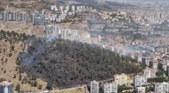 İzmir'deki yangınlar kontrol altına alındı