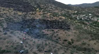 İzmir'in Bayındır ilçesindeki zeytinlik alanda çıkan yangın söndürüldü