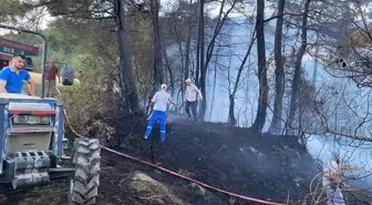 Sakarya'da Orman Yangını: 5 Hektarlık Alan Zarar Gördü