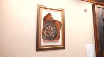 Tarih Öncesi Çağa Ait Mamut İskeleti 352 Bin Dolara Satıldı