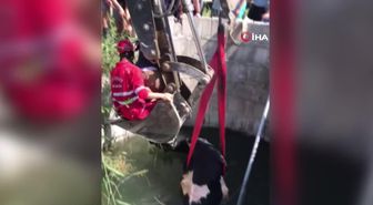 Tolkıen'in Yeni Romanı Yarın Satışta