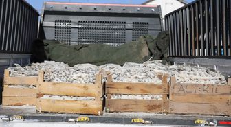 Fransız İstihbaratı 11 Eylül Saldırılarından Önce ABD'yi Uyarmış