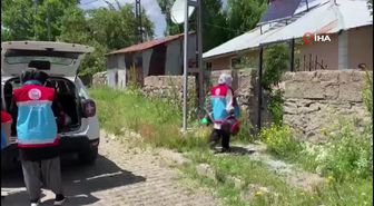 Avrupa, THY'nin Büyümesini Konuşuyor