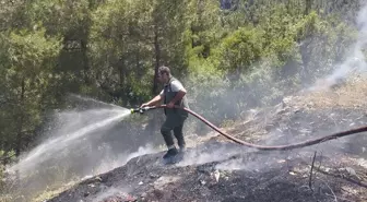 Adana'da çalılık yangını kontrol altına alındı