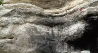 Ordu'da 125 Bin Kişi, Dişi Yüzünden Hastaneye Başvurdu