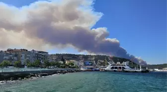 Çanakkale'de orman yangını! Boğaz'da gemi trafiği tek yönlü askıya alındı