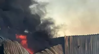 Amasya'da Sema Gösterisi