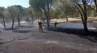 İzmir'in Karaburun ilçesinde orman yangını çıktı