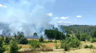 Şehit Piyade Er Gözyaşları İçinde Toprağa Verildi