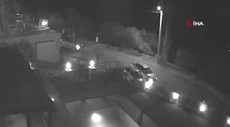 Mersin'de Orman Zararlılarıyla Mücadele