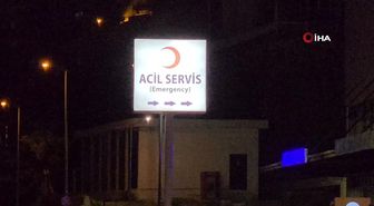 Aydın Orman İşletme Müdürlüğü 15 Ayda 3 Bin 782 Hektar Alanda Ağaçlandırma Yaptı