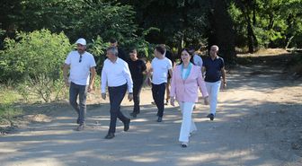 Niğde'de Trafik Kazası: 8 Yaralı