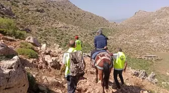 Siirt'te yemekten rahatsızlanan yaşlı adam hastaneye yetiştirildi