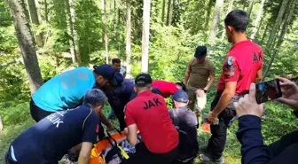 Kastamonu'da Kayıp Kadın Ormanda Bulundu