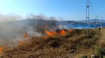 Avşa Adasında Çıkan Yangınlar Kontrol Altına Alındı