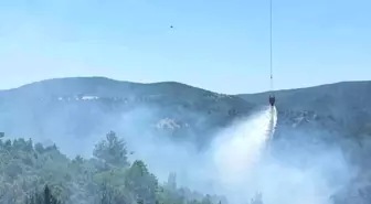 Bilecik'te çıkan orman yangını kontrol altına alındı