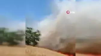 Aa Fotoğraflarına Ödül