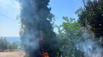 Zonguldak'ta Anız Yangınına Ekipler Müdahale Etti