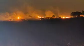 Diyarbakır ve Mardin'deki anız yangınlarında 500'den fazla koyun telef oldu