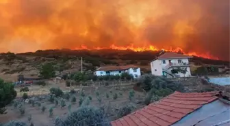 Manisa ve Uşak'ta orman yangını! 2 mahallede yaşayan 430 kişi tahliye edildi