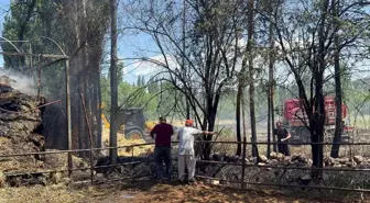 Bucak'ta çıkan yangında bin adet saman balyası kül oldu