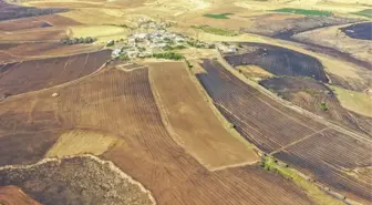 Yangın felaketinde Diyarbakır ve Mardin Valiliklerine toplam 5 milyon TL acil yardım ödeneği gönderildi