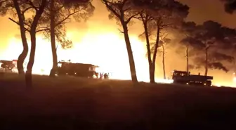 Çanakkale'de Tarım Arazisinde Başlayan Yangın Kontrol Altına Alındı