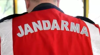 Aydın'da Hırsızlık Yapan Şahıs Jandarma Tarafından Yakalandı