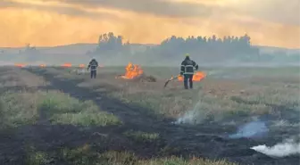 Hatay'ın Erzin ilçesinde çıkan yangın söndürüldü