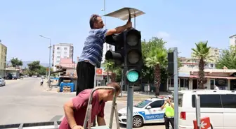 Kumru ve yavruları için trafik ışıklarına gölgelik yapıldı