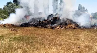 Tokat'ın Zile ilçesinde saman balyaları yangında kullanılmaz hale geldi