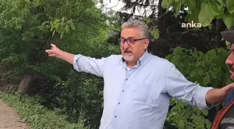 Artvin Şavşat'ta Sahara Milli Parkı'nda Ağaç Kesimine Tepki: 'Böyle Bir Kesimle Böcek Zararının Önlendiği Dünyada Görülmüş Değil'