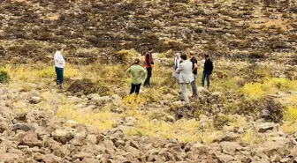 Diyarbakır'daki Yangınla İlgili Ön Rapor Açıklandı