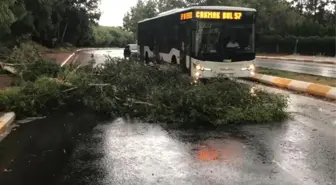 Sıcaklık rekorlarının kırıldığı kentleri fırtına vurdu! Ağaçlar devrildi, yollar göle döndü