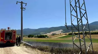 Bolu'da trafodan çıkan kıvılcımlar tarlayı küle çevirdi