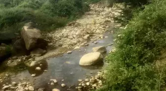 Sakarya'da Balık Tutarken Taşa Sıkışan Adam Boğularak Hayatını Kaybetti