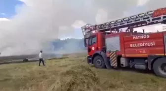 Ağrı'da buğday tarlası yangını